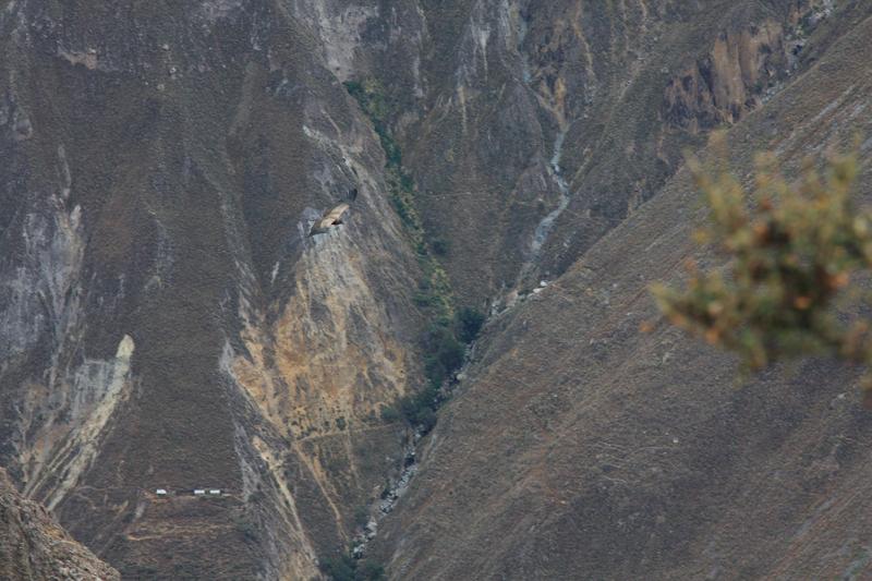 911-Cruz del condor,15 luglio 2013.JPG